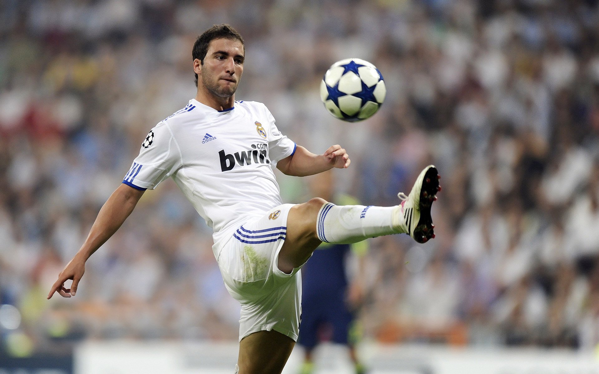 爱游戏下载-“马科斯·莫奇的防守技术与战术洞察力，成就阿根廷美洲狮队的核心力量”